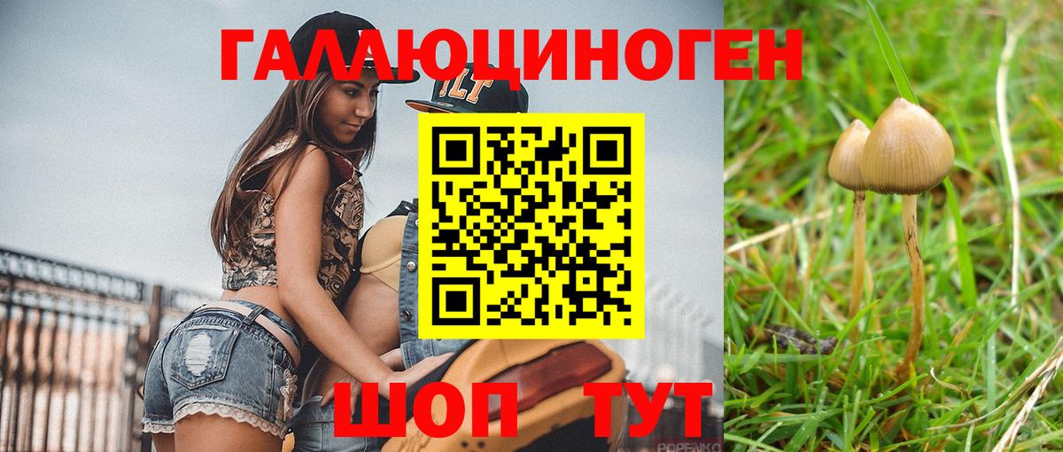 Псилоцибиновые грибы мицелий Долгопрудный